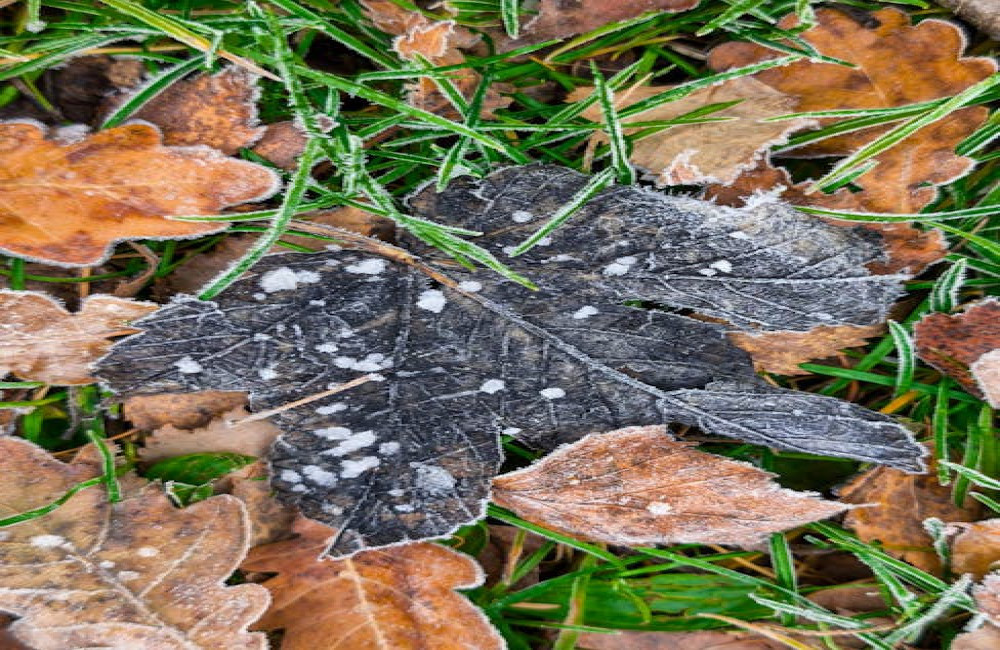 Hoe stap je als ondernemer fiscaal slim over van een eenmanszaak naar een bv?